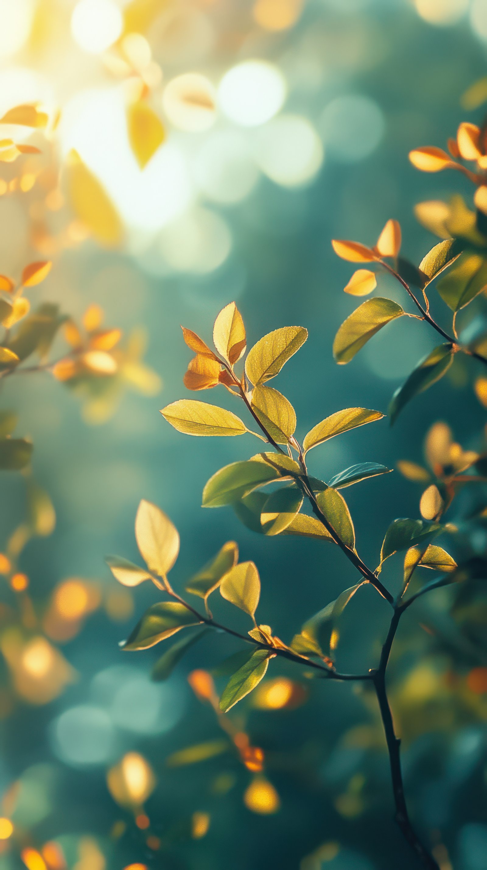 Bright sunlight filters through fresh green leaves on a tranquil morning in a serene forest environment